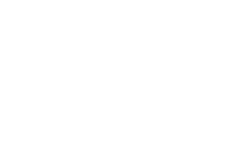 Vida Divina logo
